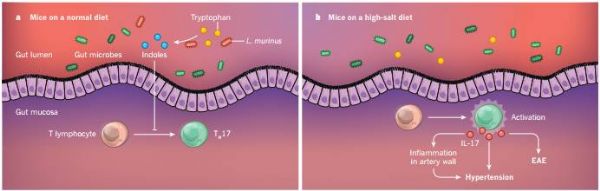 http://cache1.medsci.cn/webeditor/uploadfile/201711/20171116130157805_s.jpg